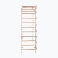 Gymnastics ladder RINAGYM Pro 2 white 4