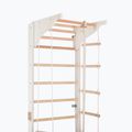 Gymnastics ladder RINAGYM Pro 2 white 5