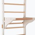 Gymnastics ladder RINAGYM Pro 2 white 6