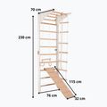 Gymnastics ladder RINAGYM Pro 2 white 7
