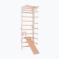 Gymnastics ladder RINAGYM Pro 3 white