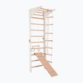 Gymnastics ladder RINAGYM Pro 3 white 2