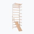 Gymnastics ladder RINAGYM Pro 3 white 3