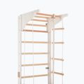 Gymnastics ladder RINAGYM Pro 3 white 5