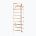 Gymnastics ladder RINAGYM 2W1 gimnastyczna white 4