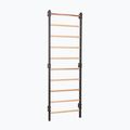 Gymnastics ladder RINAGYM Steel 1 graphit