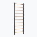 Gymnastics ladder RINAGYM Steel 1 graphit 2