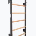 Gymnastics ladder RINAGYM Steel 1 graphit 3