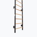 Gymnastics ladder RINAGYM Steel 1 graphit 4