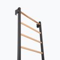 Gymnastics ladder RINAGYM Steel 1 graphit 5