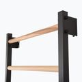 Gymnastics ladder RINAGYM Steel 1 graphit 8