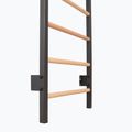 Gymnastics ladder RINAGYM Steel 1 graphit 3