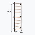 Gymnastics ladder RINAGYM Steel 1 graphit 9