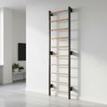 Gymnastics ladder RINAGYM Steel 1 graphit 11