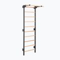 Gymnastics ladder RINAGYM Steel Pure graphit