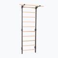 Gymnastics ladder RINAGYM Steel Pure graphit 2