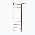 Gymnastics ladder RINAGYM Steel Pure graphit 3