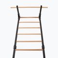 Gymnastics ladder RINAGYM Steel Pure graphit 4