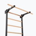 Gymnastics ladder RINAGYM Steel Pure graphit 5
