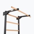 Gymnastics ladder RINAGYM Steel Pure graphit 6