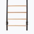 Gymnastics ladder RINAGYM Steel Pure graphit 8