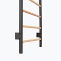 Gymnastics ladder RINAGYM Steel Pure graphit 9