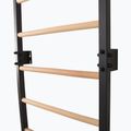 Gymnastics ladder RINAGYM Steel Pure graphit 10