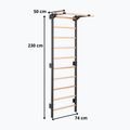 Gymnastics ladder RINAGYM Steel Pure graphit 12