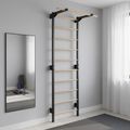 Gymnastics ladder RINAGYM Steel Pure graphit 14