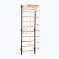 Gymnastics ladder RINAGYM Steel Kom 2 graphit/white 3