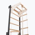 Gymnastics ladder RINAGYM Steel Kom 2 graphit/white 5
