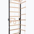 Gymnastics ladder RINAGYM Steel Kom 2 graphit/white 8