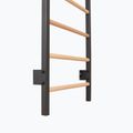 Gymnastics ladder RINAGYM Steel Kom 2 graphit/white 12