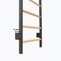 Gymnastics ladder RINAGYM Steel Kom 2 graphit/white 15