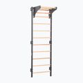 Gymnastics ladder RINAGYM Steel Kom 2 graphit