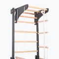 Gymnastics ladder RINAGYM Steel Kom 2 graphit 4