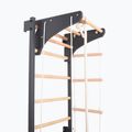 Gymnastics ladder RINAGYM Steel Kom 2 graphit 5