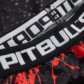 Men's leggings Pitbull West Coast Compr Pants Blood Dog black 3