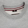 Men's sweatshirt Pitbull West Coast Crewneck Classic Boxing 21 grey/melange 7