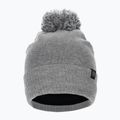 Pitbull West Coast winter beanie Bubble Small Logo grey 2