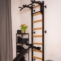 BenchK gymnastics ladder black BK-733B 5