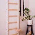 BenchK gymnastics ladder white BK-521W+A204 2