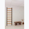 BenchK gymnastics ladder black BK-200B 11