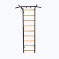 BenchK gymnastics ladder black BK-721B 2