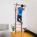 BenchK gymnastics ladder black BK-721B 17