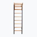 BenchK gymnastics ladder black BK-211B 2