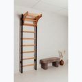 BenchK gymnastics ladder black BK-211B 13