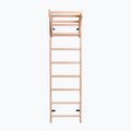 BenchK bronze gymnastic ladder BK-111