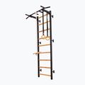 BenchK gymnastics ladder black BK-721B+A076