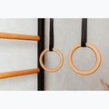 BenchK gymnastics ladder black BK-721B+A076 8